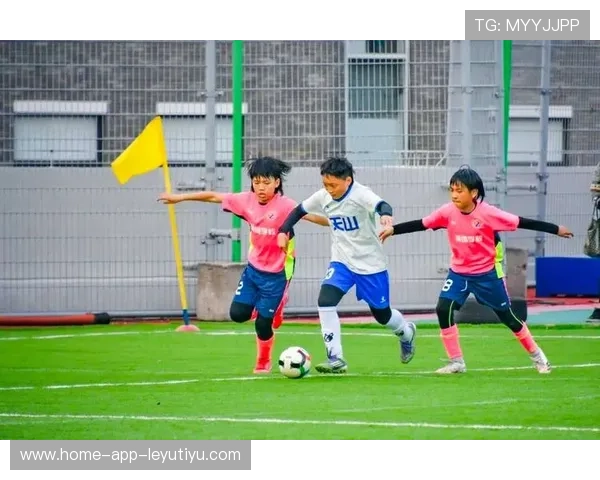 迷你足球联赛：社区运动新热潮，迷你足球2.0