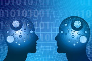 乐鱼体育在线入口-教学资源数字转型，数字化教学资源的生成与管理