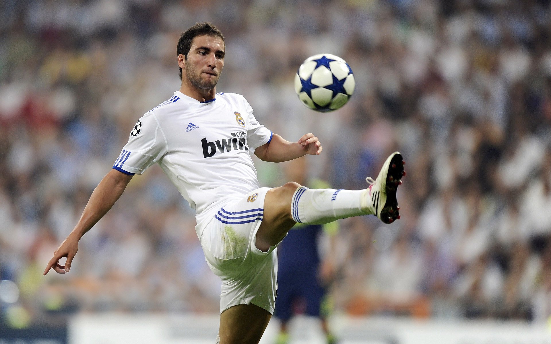 该项目选手整体体能储备充足，该项目选手整体体能储备充足怎么办