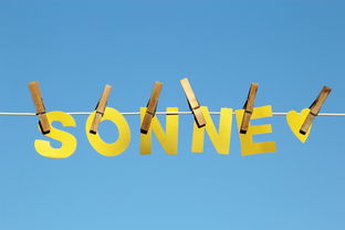 乐鱼体育下载-体育新闻中心公告全国夏季赛事气象应急预案，赛事应急预案模板