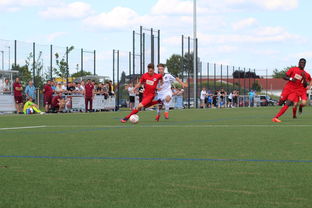 乐鱼体育app官网-未来足球运动场将实现环保材料全覆盖，绿色发展理念深入人心，室外足球场的运营方案